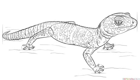 Some leopard gecko coloring may be available for free. How to draw a leopard gecko | Step by step Drawing tutorials