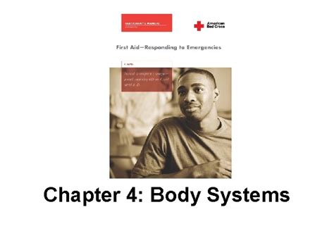 Chapter 4 Body Systems Introduction Understanding The Bodys