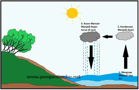 Siklus Hidrologi Pengertian Proses Dan Gambar Siklus Air Salamadian