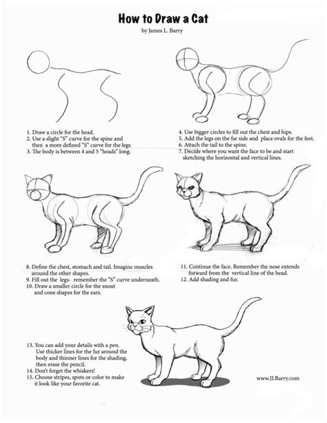 Step By Step How To Draw A Cat And Kitten 1 791x1024 Warrior Cat