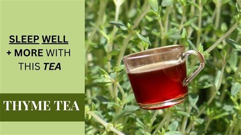9 Health Benefits Of Thyme Tea How To Make Thyme Tea Side Effects