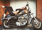 lovely holly | Harley davidson photos, Harley, Harley davidson
