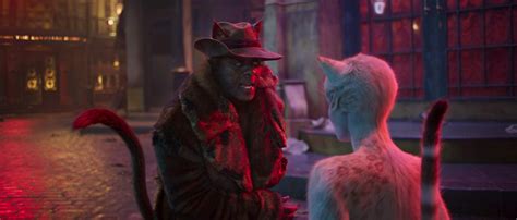 Um filme de tom hooper com francesca hayward, jennifer hudson, idris elba, taylor swift. Cats (2019) | Cast, Budget | And Everything You Need to ...