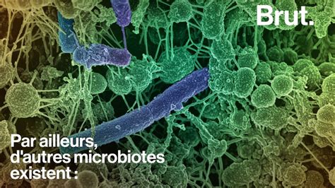 Video Parasites Virus Bactéries Tous Ces Microbes Ne Nous Veulent