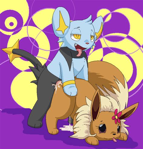 843375 Eevee Porkyman Shinx Pokémon Furry Collection