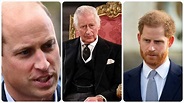 Carlo III, chi tra William e Harry non è suo figlio: spunta il DNA ...