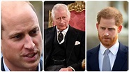 Carlo III, chi tra William e Harry non è suo figlio: spunta il DNA ...