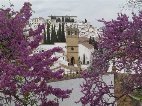 From Malaga Ronda Full Day Tour By Bus Getyourguide
