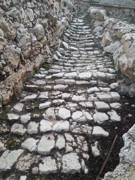 Ancient Path In Israel Holy Land Israel Bible Land Places To Go