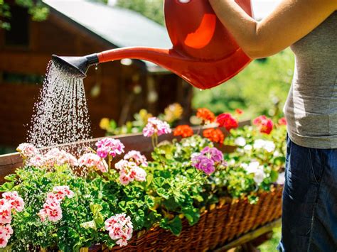 C Mo Lograr Un Buen Riego En Verano Y Mantener Las Plantas Siempre Hidratadas Agrolink