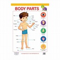 FunBlast Body Parts Puzzle For Kids Body Parts Toys, Educational Toys ...