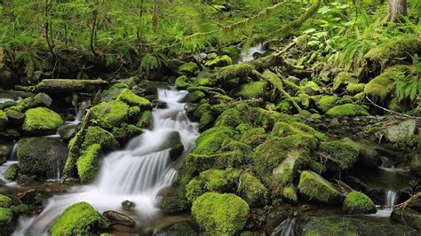 Waterfall Through The Mossy Rocks Wallpaper Nature And Landscape