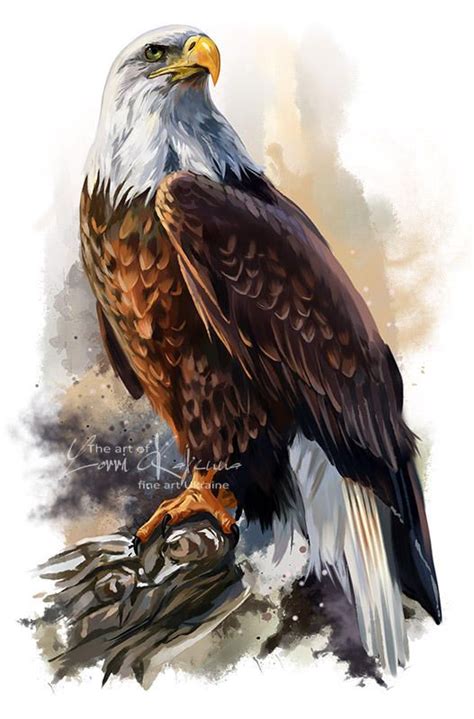The Bald Eagle By Kajenna The Eagles Bald Eagles Eagles Football