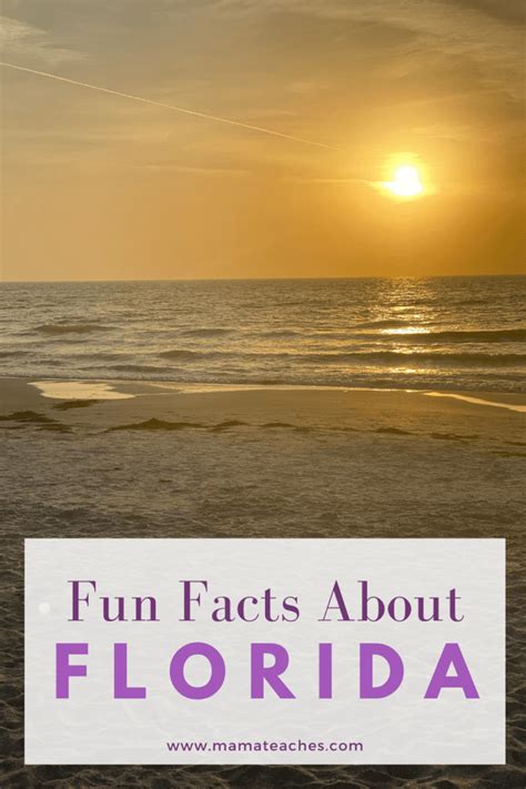 Fun Facts About Florida State Facts For Kids Mama Teaches
