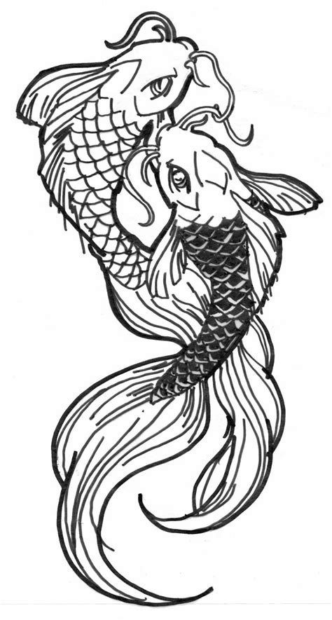 Koi Fish Drawings Koi Fish Drawing Outline From The Thin Ink Line