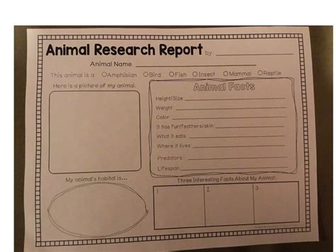Animal Research Report Free Activities Online For Kids In Kindergarten