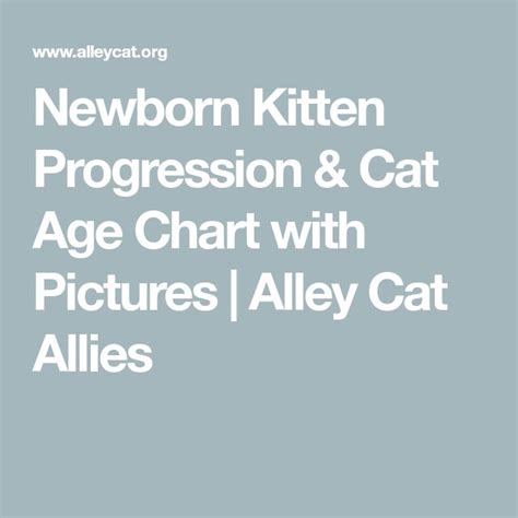 The Text Newborn Kitten Progression And Cat Age Chart With Pictures