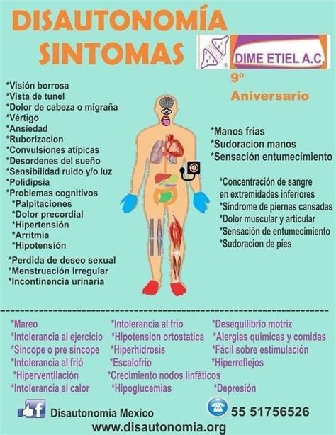 Dysautonomia is an umbrella term used to describe several different medical conditions that cause a malfunction of the autonomic nervous system. Disautonomía | Problema cognitivo, Migraña, Dolor