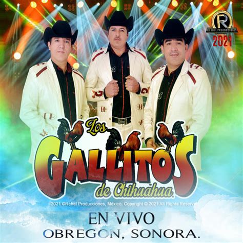 Popurri Cumbias En Vivo Song And Lyrics By Los Gallitos De