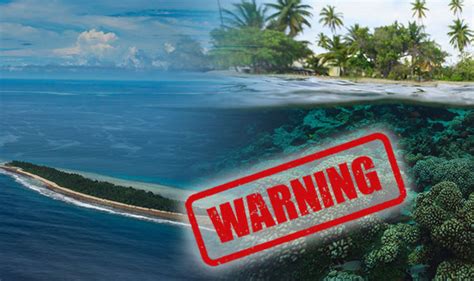 Maldives Could Disappear In 80 Years As It Sinks Due To Climate Change