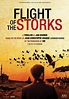 Flight of the Storks (Miniserie de TV) (2012) - FilmAffinity