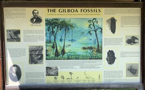 The Gilboa Fossils Historical Marker