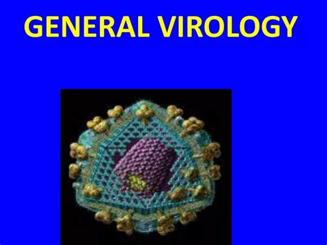 Ppt General Virology Powerpoint Presentation Free Download Id9587398