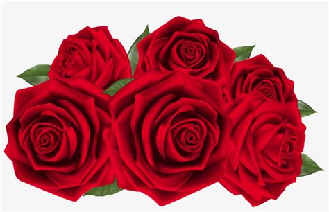 Beautiful Dark Clipart Image Red Roses Clip Art Free Transparent