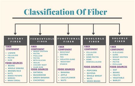 Dietary Fiber And Prebiotics Key Step For Optimal Health Wellness