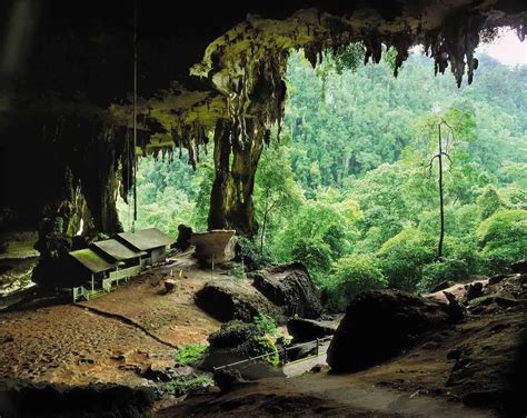 Niah National Park Borneo Adventure