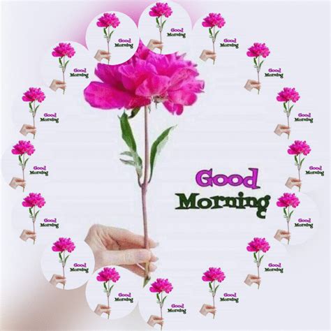 Good Morning  Animation Images And Videos More Good Morning 