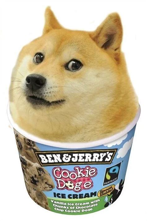 Best 25 Doge Ideas On Pinterest Funny Doge Doge Meme And Smiling