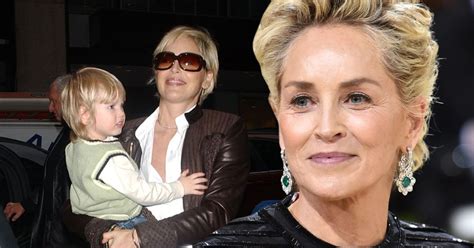 Did Sharon Stones Brutal Custody Battle Loss Affect The Relationship