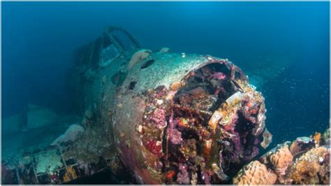 Researchers Discover Wreck That Could Finally Be Amelia Earhart Plane
