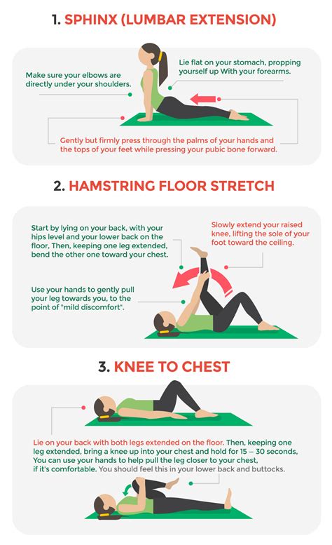 Printable Back Pain Exercises And Stretches