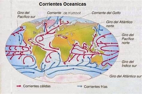 Asl Diversificación Las Corrientes Marinas