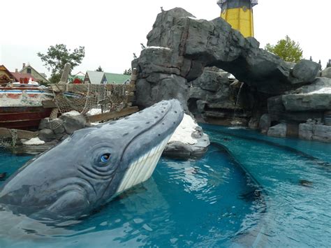 Whale Adventures Northern Lights Europa Park Freizeitpark Weltde