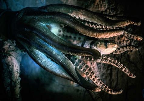 Are Fossils Linked To The Legendary Kraken Enough To Prove Its