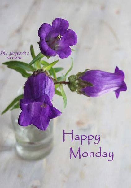 Happy Monday ️ Beautiful Flowers Happy Monday Monday Greetings