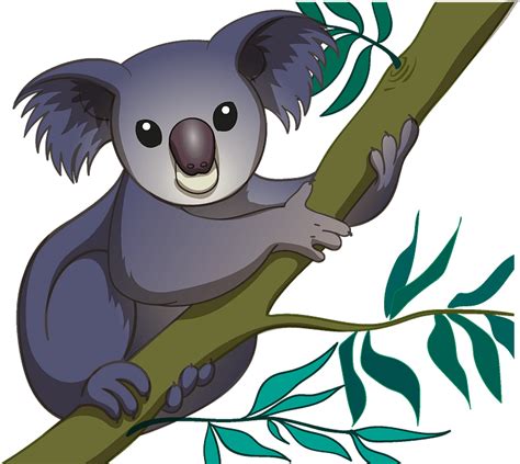 Koala Clipart Free Download Transparent Png Creazilla