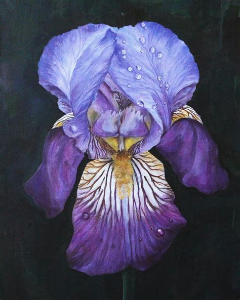 Iris Painting Original Large Painting Acrylic Flower Etsy Iris