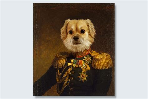 Funny Pet Portraits You Can Make For Your Own Pet Readers Digest