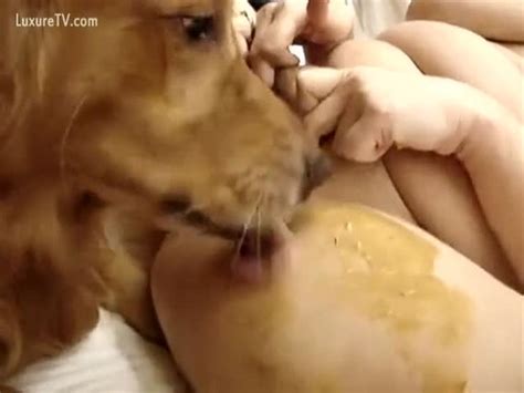 Dog Licking Snatch Xxx Femefun