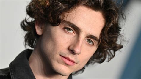 What You Dont Know About Timothée Chalamet