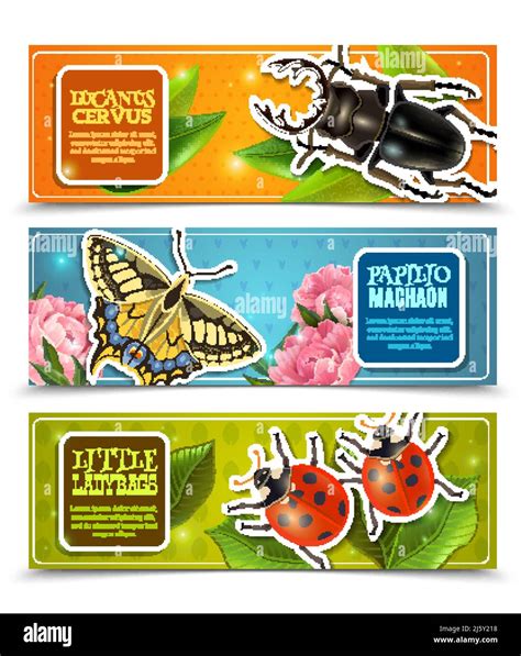 Insects Horizontal Banners Set With Ladybugs And Machaon Realistic