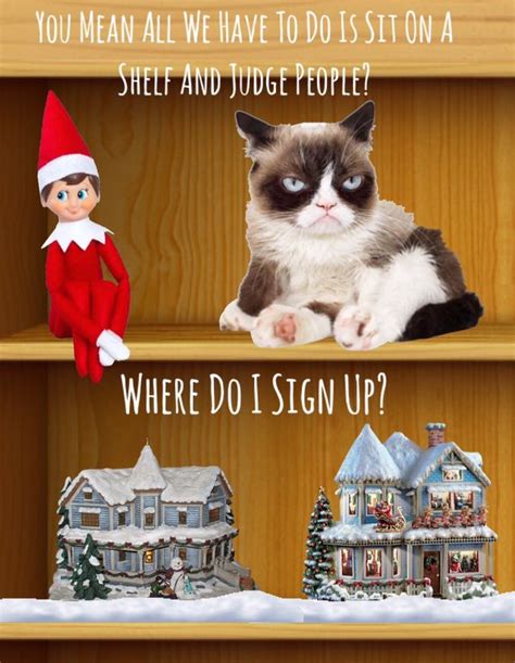 Best grumpy cat meme for your kids. Pin by Lynn Albanese on Grumpy Cat | Grumpy cat humor, Grumpy cat, Cat memes clean