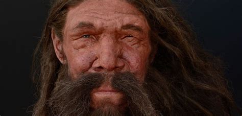 Humans Denisovans And Neanderthals Were Genetically Less Different Than