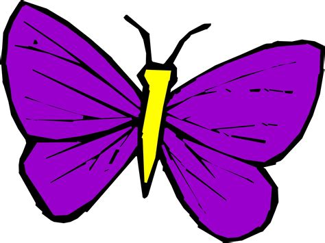 Butterfly Cartoon Image Clipart Best