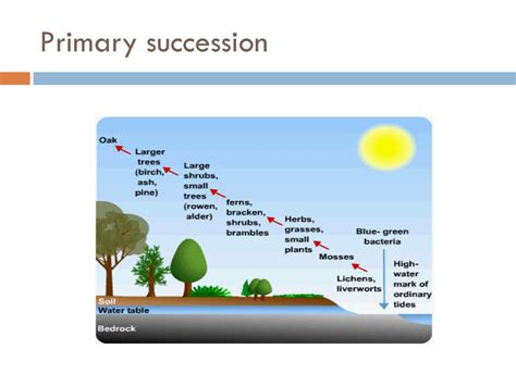 Ppt Succession Powerpoint Presentation Free Download Id2471838