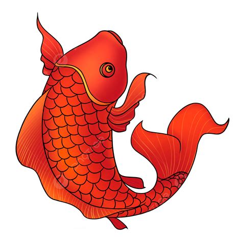 Koi Clipart Transparent Background Red Koi Carp Koi Fish Png Image